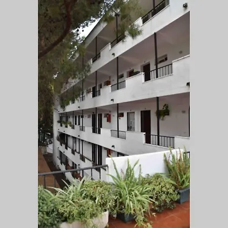 Estudio Nueva Andalucia *